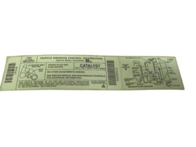 Buick 10243955 Emission Label