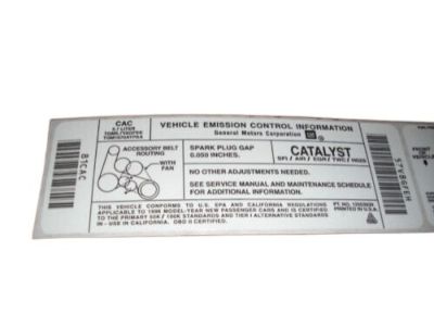 Buick 10243955 Emission Label