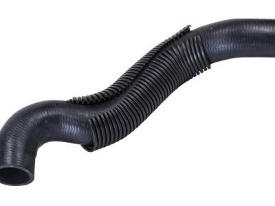 Chevy 15940317 Lower Hose