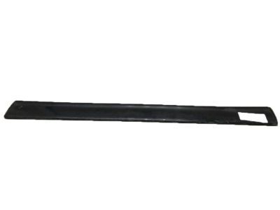 Cadillac 15950342 Body Side Molding