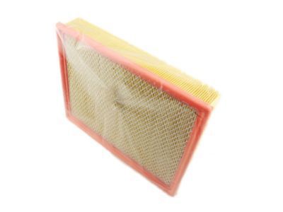 GMC 15908916 Air Filter