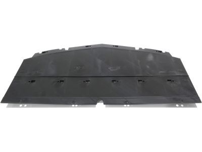 Chevy 23273619 Front Deflector