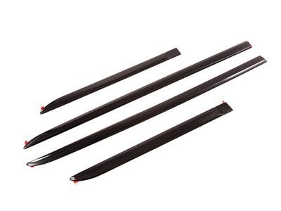 Chevy 95405701 Molding Kit