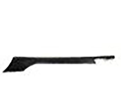 Chevy 23399025 Rocker Molding