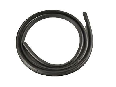 Chevy Impala Limited Weather Strip - 19260468