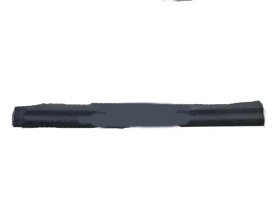 Chevy 30022989 Side Molding