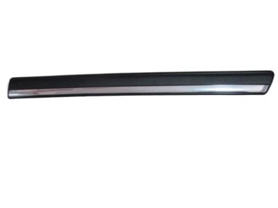 Chevy 15199305 Body Side Molding