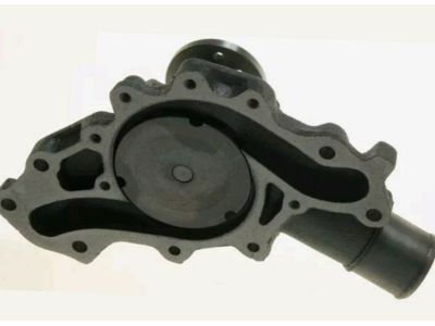 Chevy 19168611 Water Pump Assembly