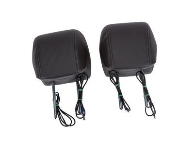 Buick 23139997 DISPLAY,FRONT SEAT HEAD RESTRAINT(INCLUDES 2-17)(EBONY)(INSTALL 2.00)(5.6 KGS)(LABELED 23139997)