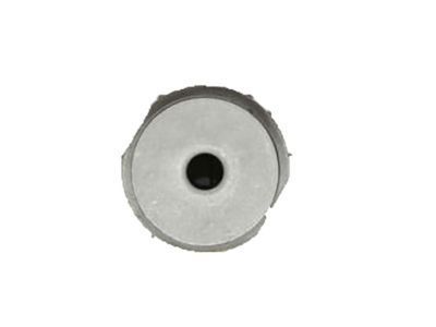 GMC 20914914 Carrier Housing Bushing