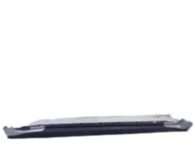 Pontiac 88975702 Rocker Molding