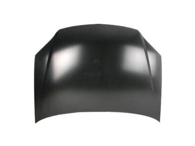 Pontiac 15258957 Hood