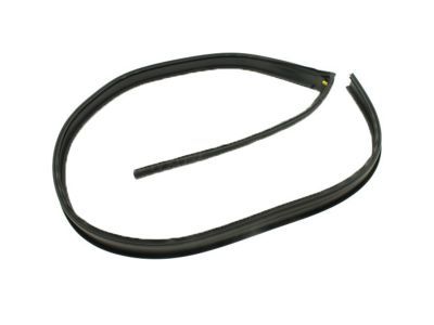 Chevy 20816087 Drip Weatherstrip