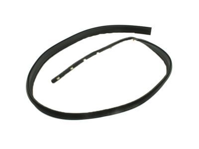 GMC 20816087 Drip Weatherstrip