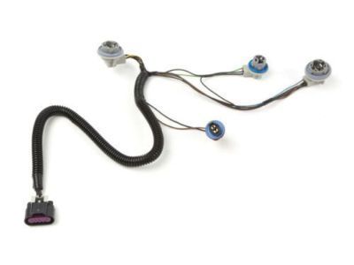 GMC 22787445 Socket & Wire