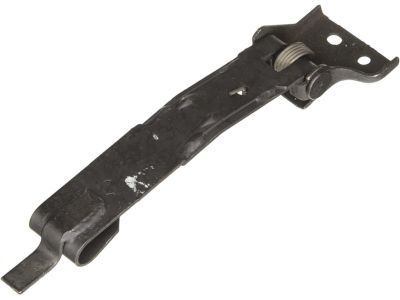 GM 15750877 Strap,Intermediate Side Door Check