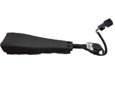 2013 Chevy Volt Seat Belt - 19257494