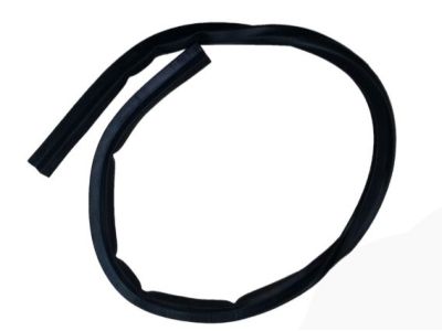 GM 96991919 Weatherstrip Assembly, Hood Rear