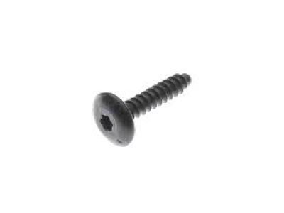 Chevy 11611883 Lower Gate Trim Screw