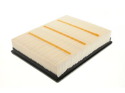 Cadillac 22845992 Air Filter