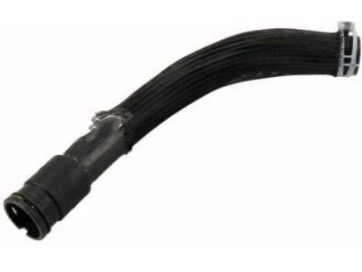 GMC 15135283 Lower Hose