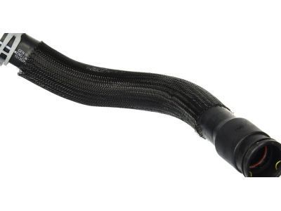 GMC 15135283 Lower Hose