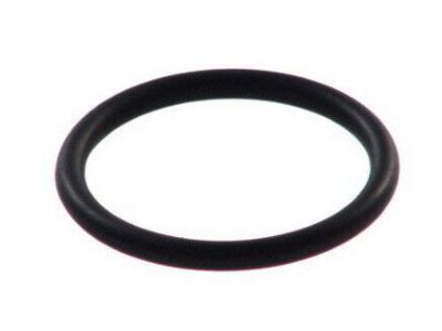 Pontiac 90448217 Filler Cap Seal