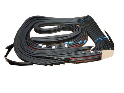 Cadillac 20789464 Drip Weatherstrip