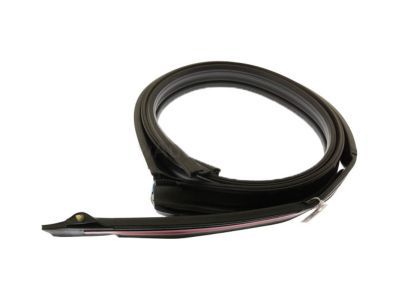 Cadillac 20789464 Drip Weatherstrip