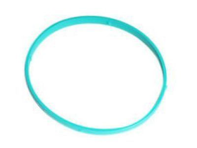 Buick 12576549 Gasket