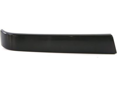 Chevy 12335958 Molding