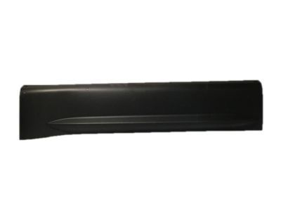 GMC 25824835 Lower Molding