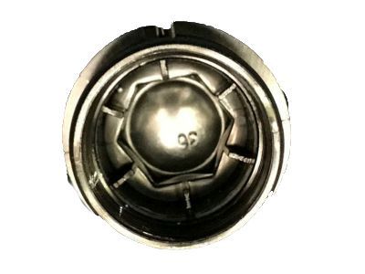 Chevy 9598895 Wheel Nut Cap