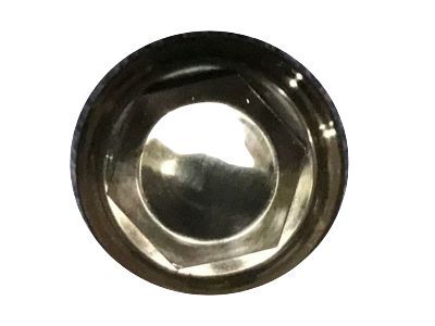 GMC 9598895 Wheel Nut Cap