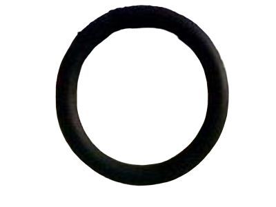 Buick 55568536 Gasket