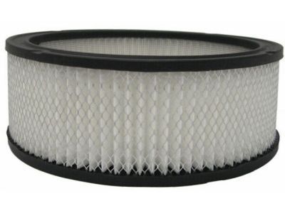 Oldsmobile 6419892 Air Filter