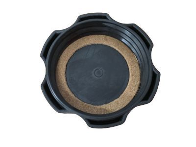 Chevy 14103522 Reservoir Cap