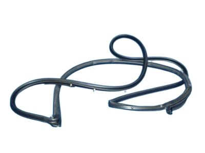 Pontiac 88969772 Door Weatherstrip