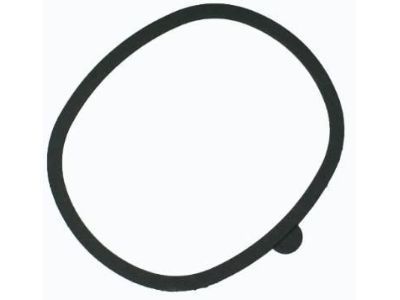 Pontiac 10019632 Air Cleaner Gasket