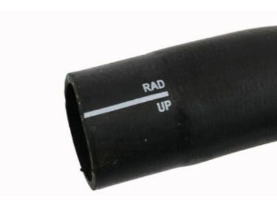 GMC 19330105 Upper Hose