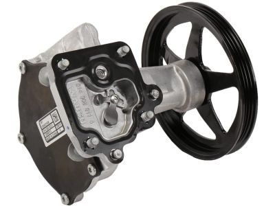 Chevy 12696313 Vacuum Pump