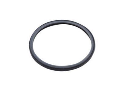 Chevy 12680544 Thermostat Seal