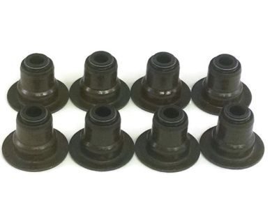 GMC 12482063 Valve Seals