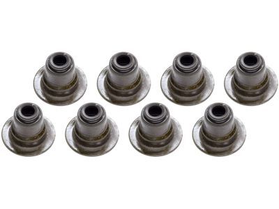 GMC 12482063 Valve Seals