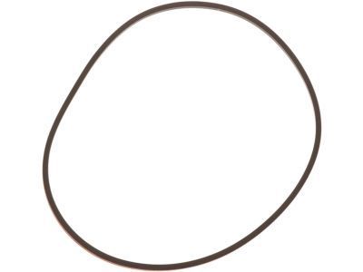 GMC 24208660 Extension Housing Seal