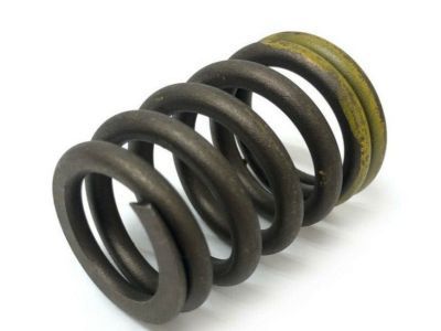 Chevy 10240898 Valve Springs