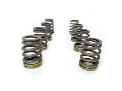 Chevy 10240898 Valve Springs