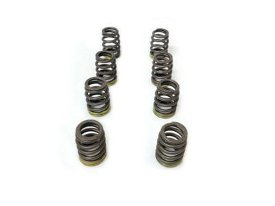 GMC 10240898 Valve Springs