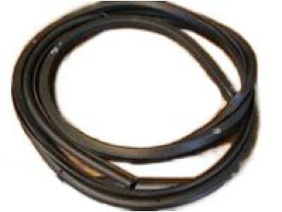 Cadillac 25956332 Surround Weatherstrip