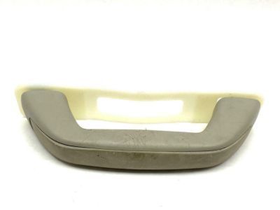 GM 15281856 Handle,Roof Rail Front Asst